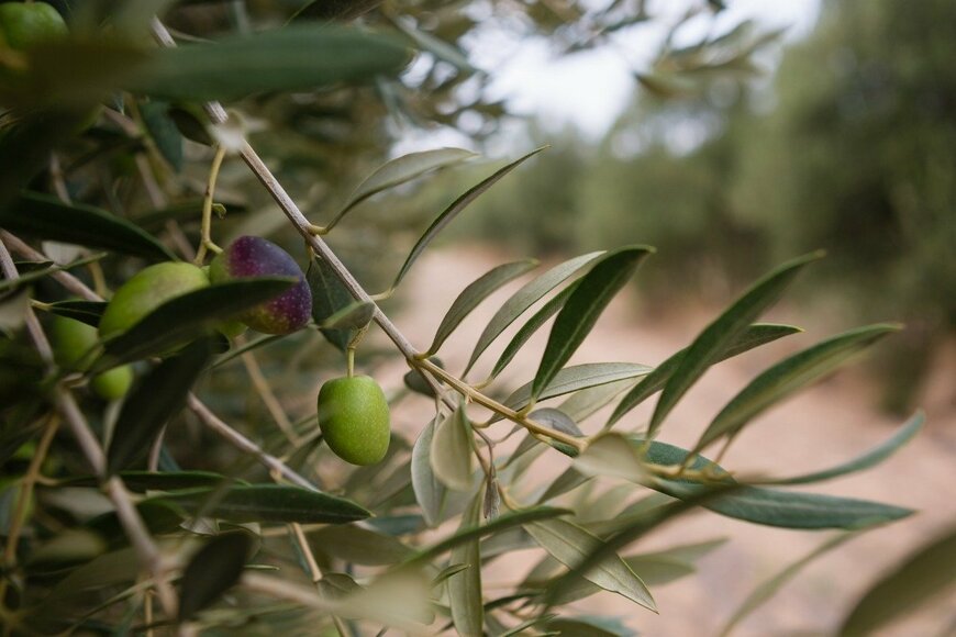 Wavebreakmedia/istockphoto.com