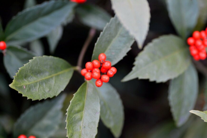 E46AV22/istockphoto.com