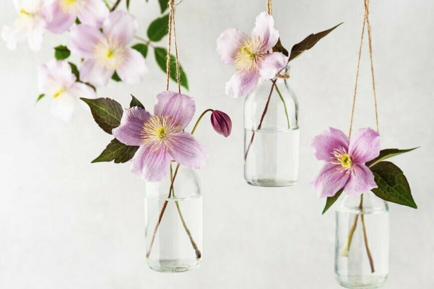 Oksana_Schmidt/istockphoto.com