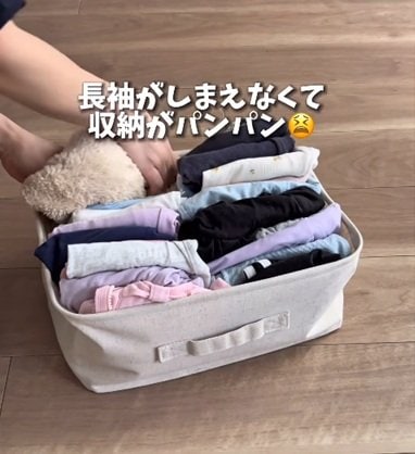 【100均DIY】ダイソーとセリアのアイテムで作る！あふれる子ども服をスッキリ収納する「カスタム無限ハンガーラック」が賢すぎる！「真似したい！」と話題
