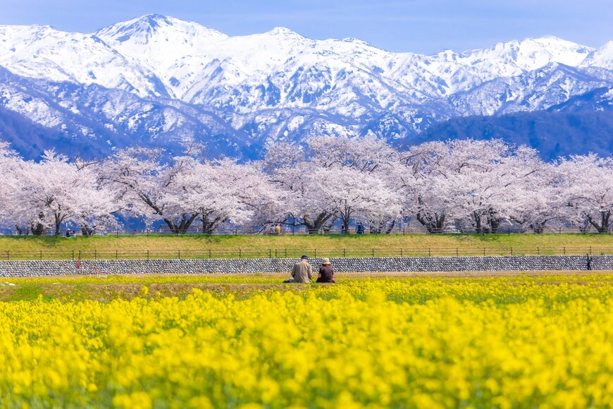 【70歳代の貯蓄額】平均と中央値はいくら？「貯蓄ゼロ」の世帯は何パーセントなのか