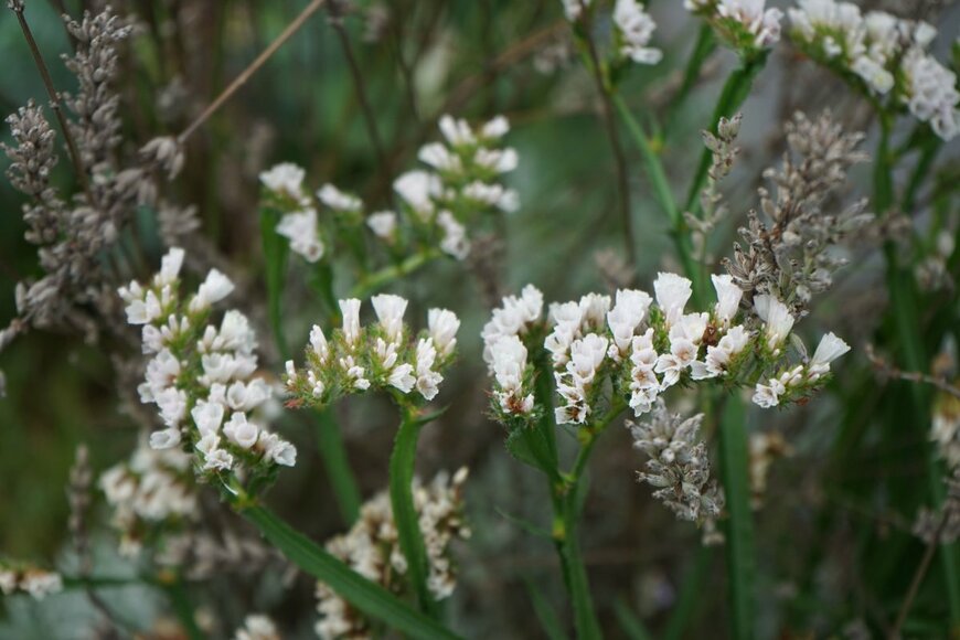 crystaldream/shutterstock.com