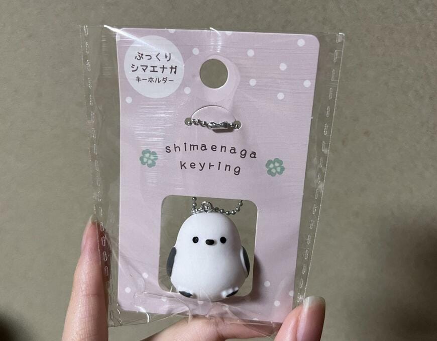 筆者撮影（セリア、キーホルダー ぷっくりシマエナガ）