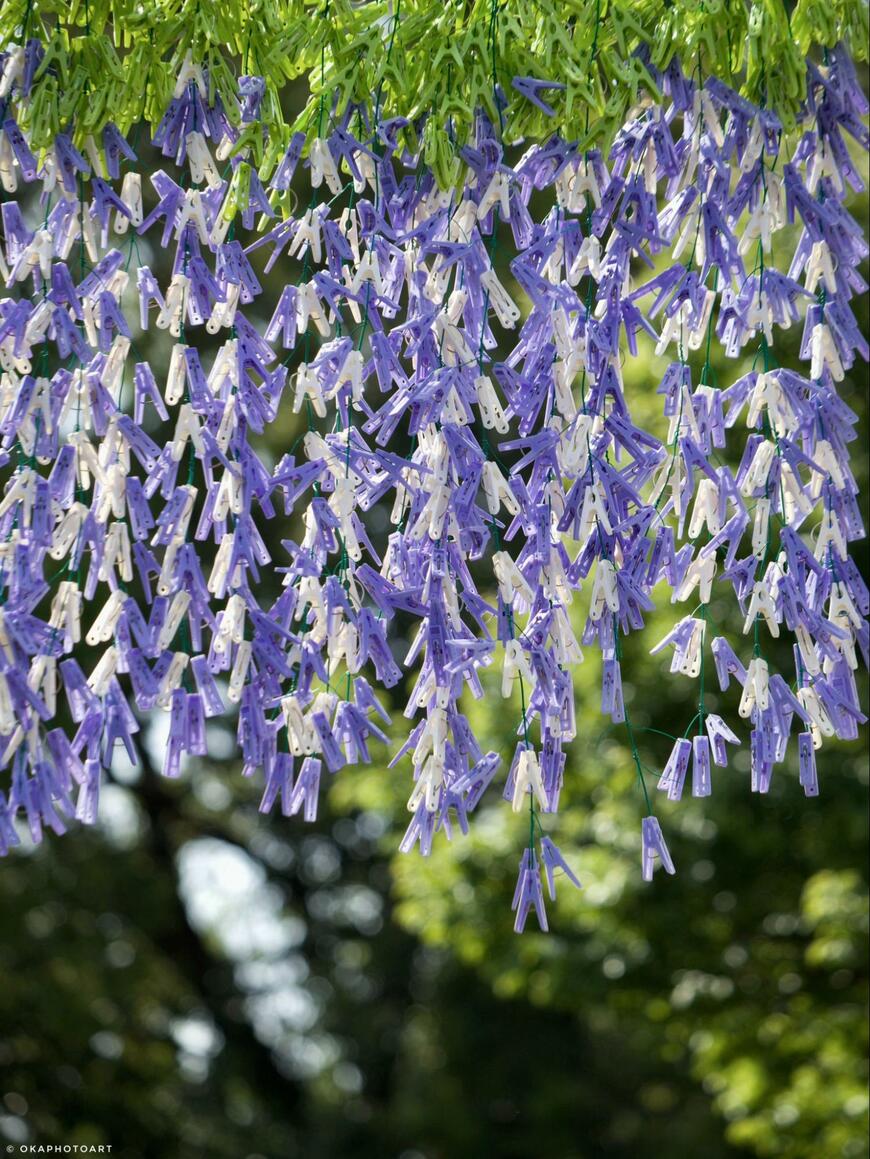 出所：@okaphotoart