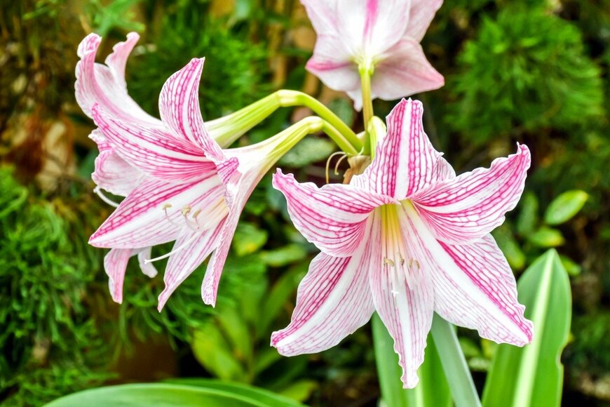 pondpony/istockphoto.com