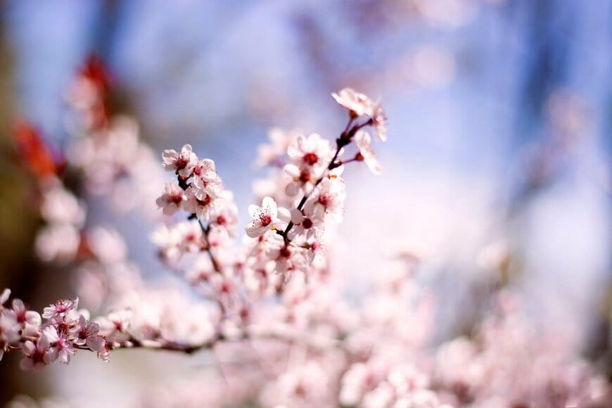 Ollphotograph/shutterstock.com