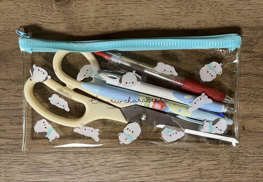 筆者撮影（ダイソー、ラメポーチM/X チルタイム）