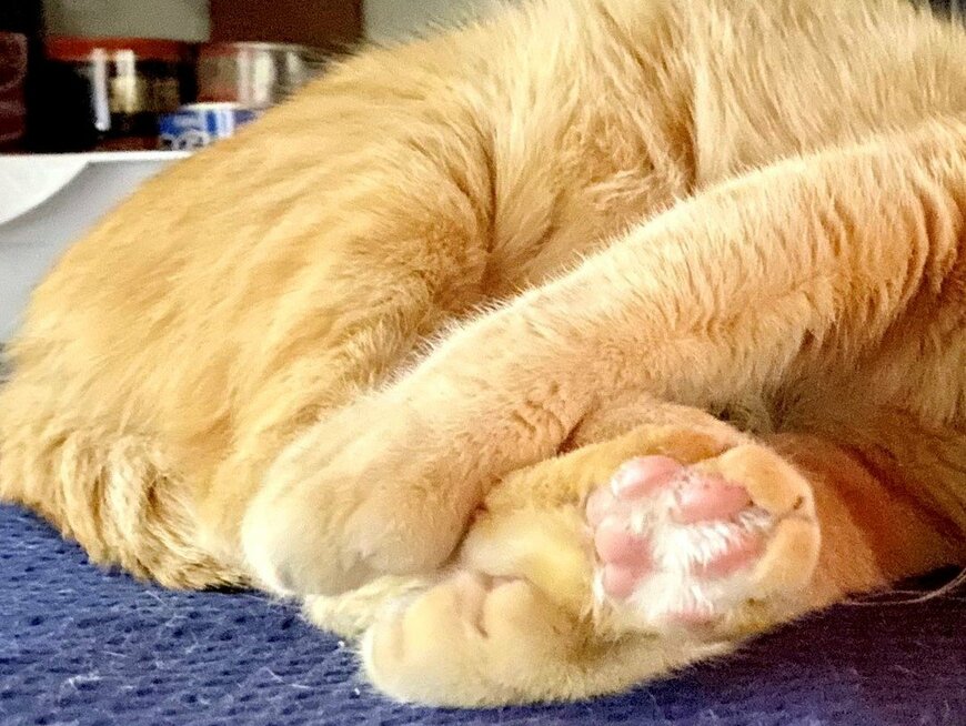 出所：@luna7taka9