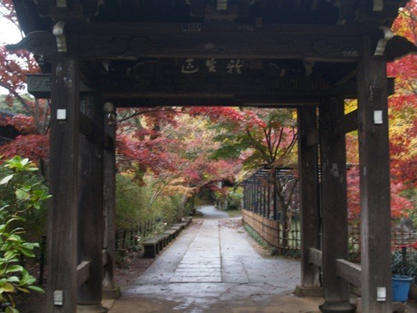 出典：とっちー5/写真AC