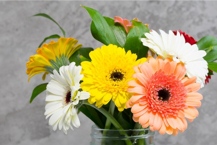 Sea_Ekaterina/Shutterstock.com