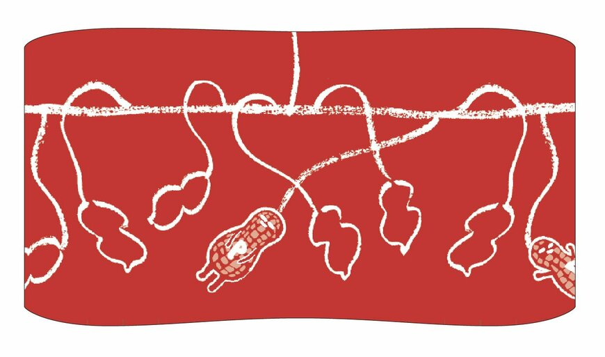 出所：米屋株式会社『人気商品「ぴーなっつ最中」より「SPY×FAMILY ぴーなっつ最中」が誕生！』©遠藤達哉/集英社・SPY×FAMILY製作委員会