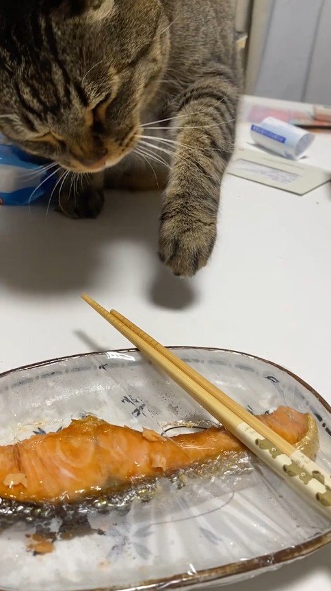 出所：@unimaru8kg