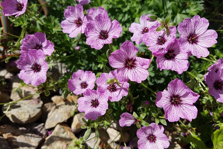 emer1940/istockphoto.com