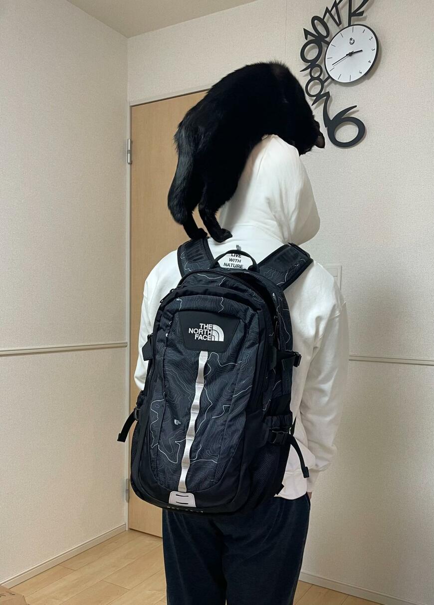 出所：＠Teagle_Noir