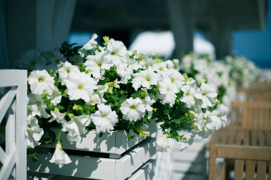 IVAN KRYVOSHEI/shutterstock.com