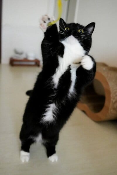 出所：@unicouniuni3