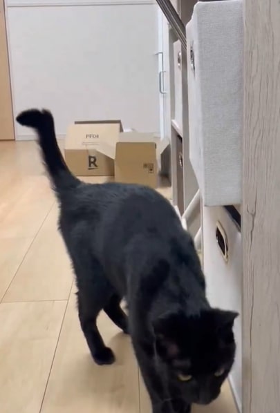 出所：@Teagle_Noir