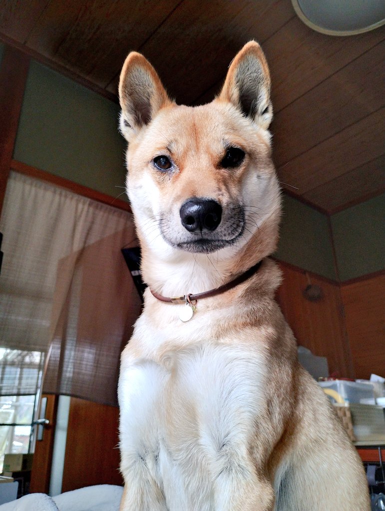 出所：@momochun10