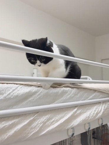 出所：@saburou214