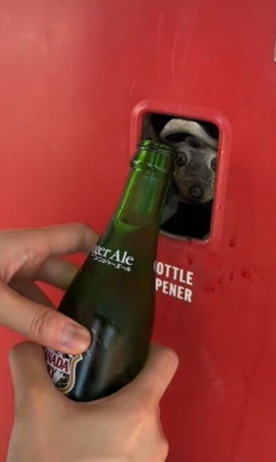 出所：＠nagai_yokota