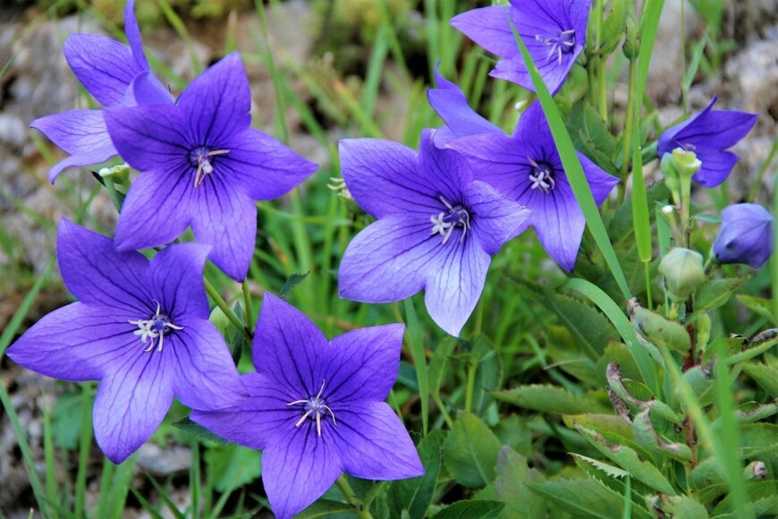 GHED/shutterstock.com