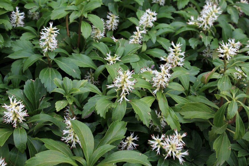 Orest lyzhechka/shutterstock.com