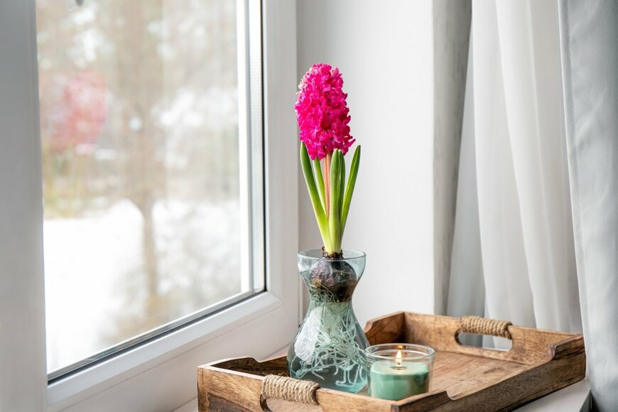 FotoHelin/shutterstock.com