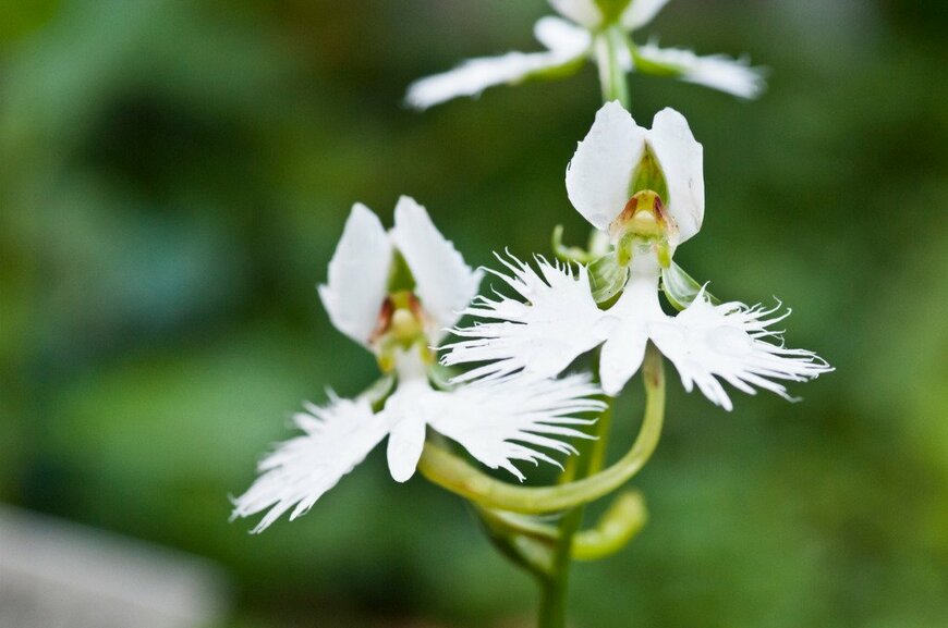 kinpouge05/istockphoto.com