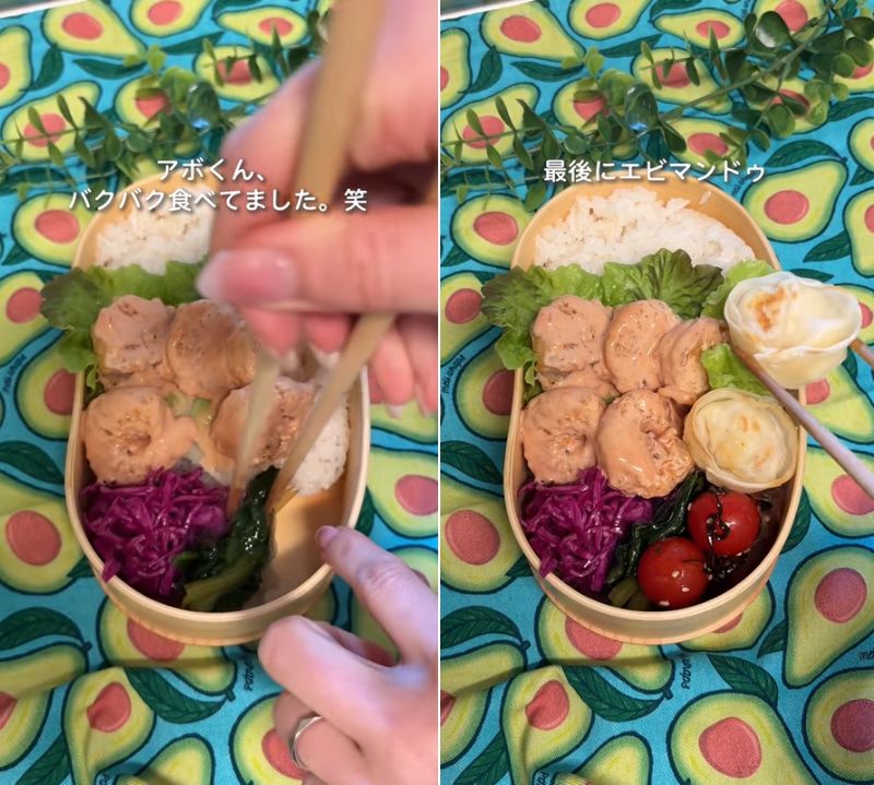 投稿の画像