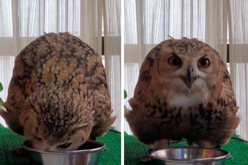 投稿動画のワンシーン