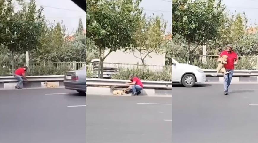 犬を抱きかかえて道路から救い出す男性