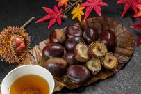 60代「貯蓄の中身」を大解剖