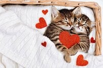 【給付金情報】申請しないともらえない！《シニア向け》給付金・手当・年金5選「就職や年金生活に関係する」給付金制度とは？