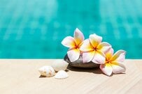 【60歳代】おひとりさまはいくら貯蓄してる？みんなの“平均・中央値”をチェック