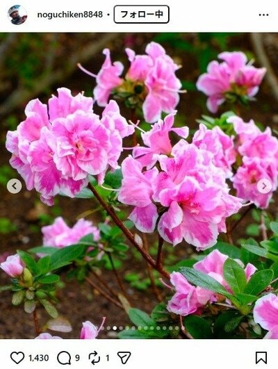 野口健のInstagram投稿