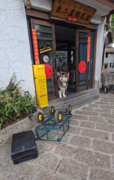 投稿の画像