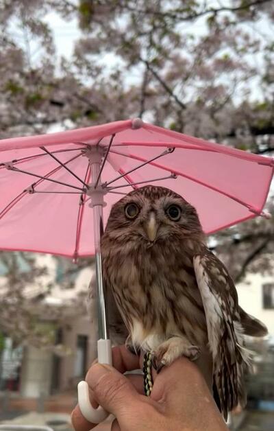 投稿動画のワンシーン