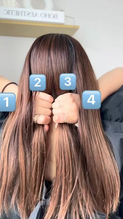 髪全体を4つの束に分ける