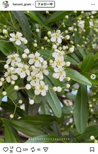 栗原はるみのInstagram投稿