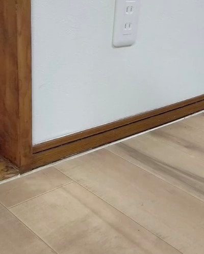 投稿の画像