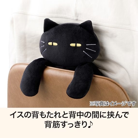 すっきりとした綺麗な背筋を自然とキープ