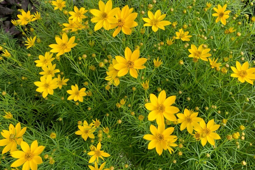 Nokzd/shutterstock.com