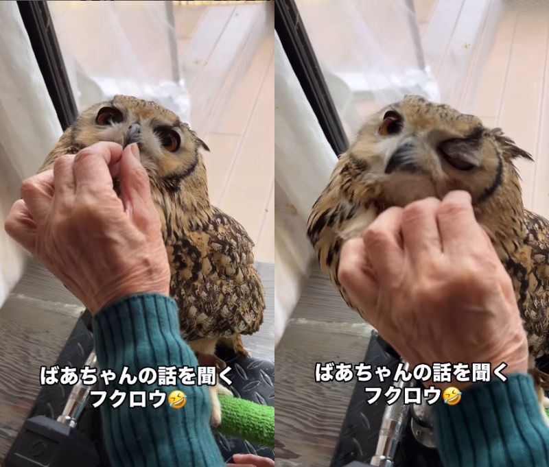 出所：@ba_chantolatte