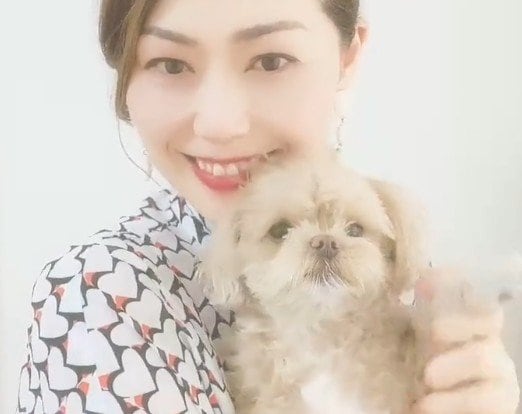 飛行機に乗ることができない犬種とは？元CAが解説する「愛犬との空の旅で知っておくべきこと」が話題