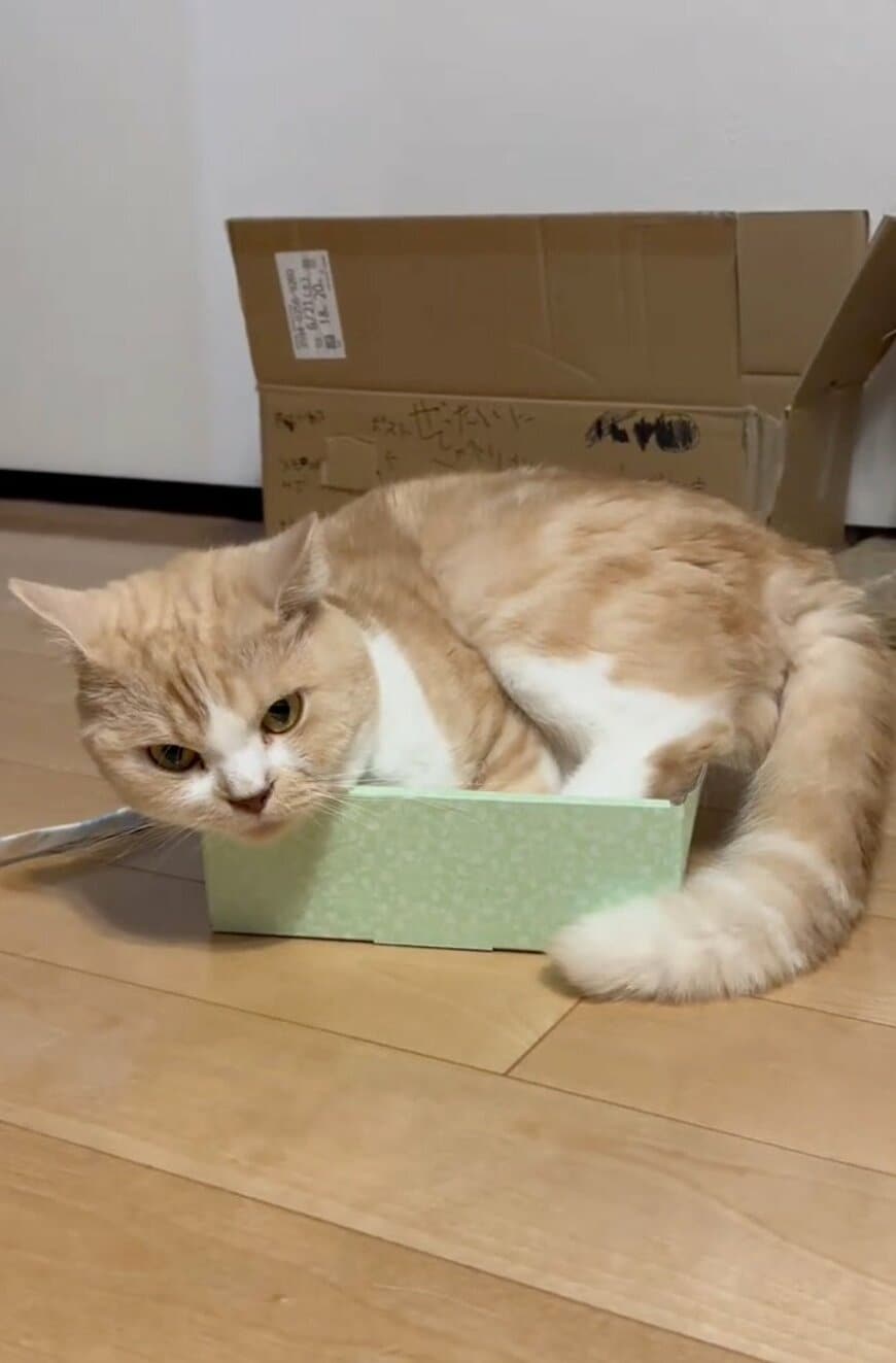 出所：@sorakai0905