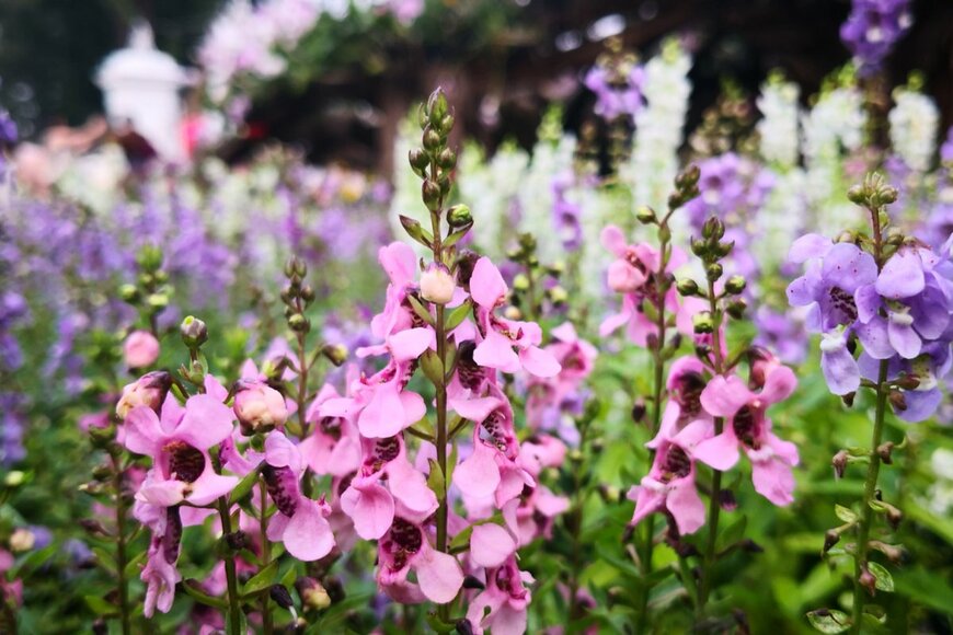 Omkoi/shutterstock.com