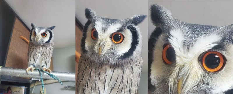 出所：@khmFvyd8Z1Xt4rB