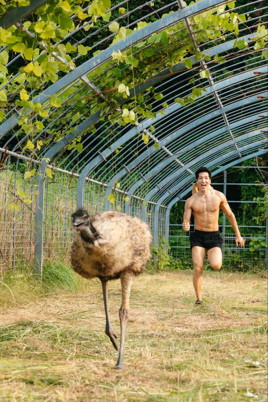 提供：@AkihitoAll