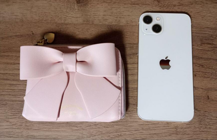 筆者撮影（しまむら、婦人　財布（青木美沙子×サンリオキャラクターズ））