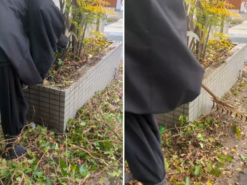 出所：@kusakari.zamurai